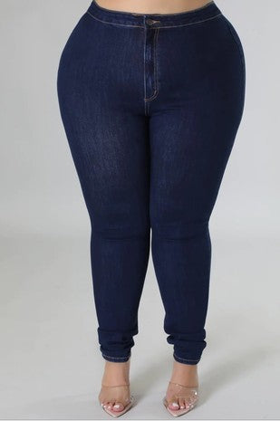 Plus Size High Rise Basic Jeans